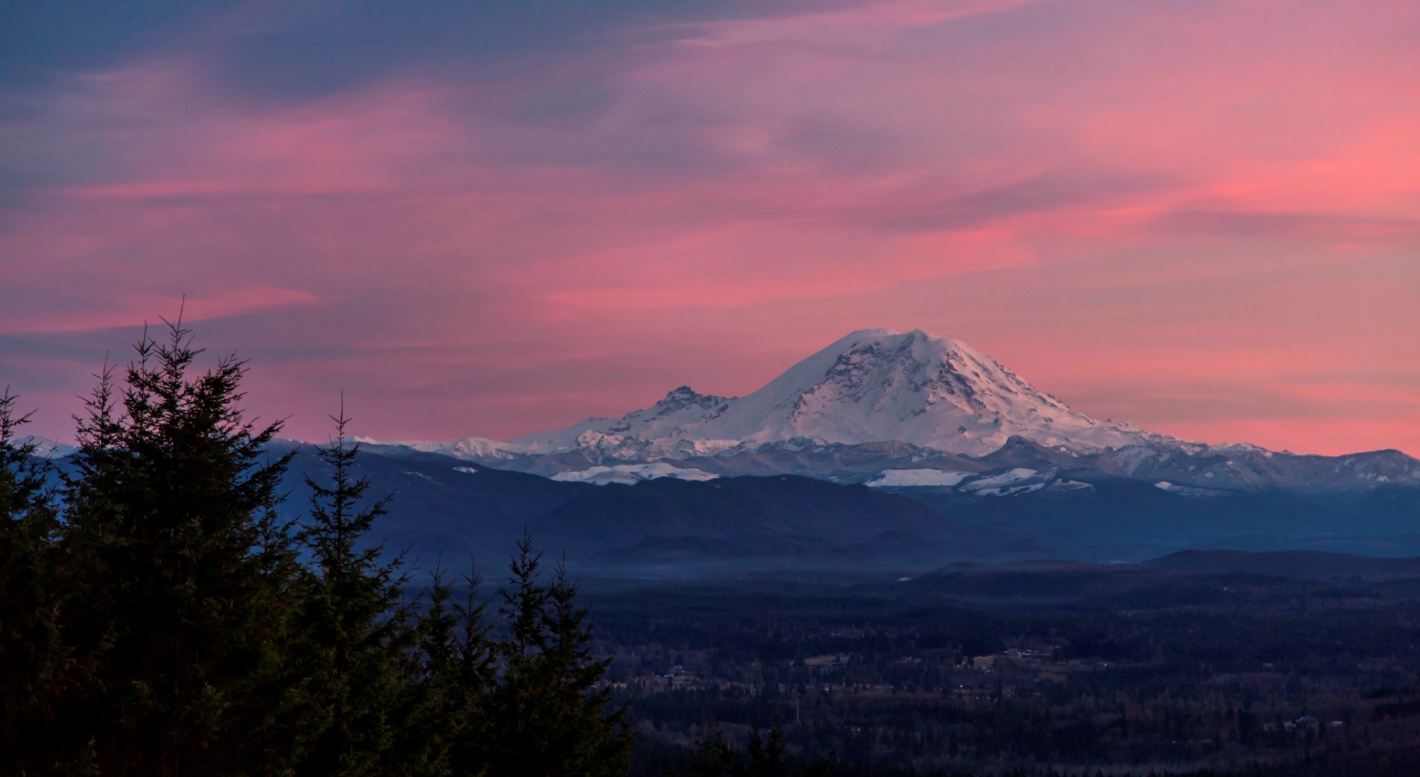 Bellevue Acupuncture